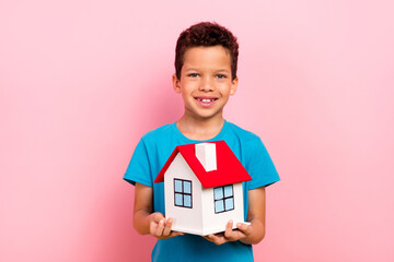 Sticker - Photo of cheerful sweet little boy dressed blue t-shirt holding small red roof house isolated pink color background