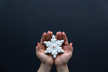 Wall Mural - Christmas gingerbread in female hands, top view.