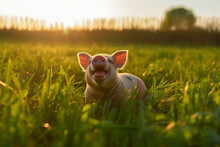 Adorable Piglet Playfully Sticking Out Its Tongue While Frolicking On A Lush Green Field.