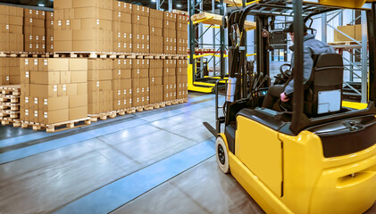 Wall Mural - Warehouse business. Forklift in storage hangar. Man drives warehouse truck. Territory of logistics center. Pallets with cardboard boxes. Warehouse in industrial building. Forklift for moving goods