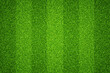 Football field texture green lawn. Vector