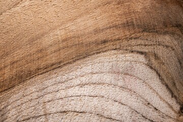 Sticker - Texture of teak brown wood board