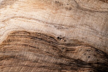 Canvas Print - Texture of teak brown wood board