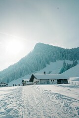 Wall Mural - Scenic snow-covered landscape featuring a small log cabin in the distant background