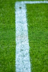 Poster - White line of a soccer field - perfect for sport background