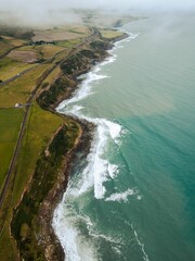 Wall Mural - Picturesque landscape of an ocean shoreline featuring lush green shrubbery