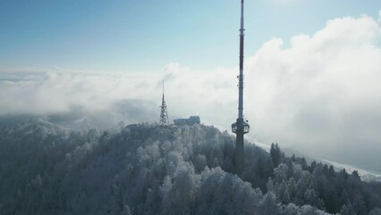 Poster - Drone scene of Uetliberg TV-Tower on high forest trees under cloudy sky in Zurich, Switzerland