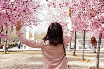 Canvas Print - Female figure standing in a park, surrounded by a background of vibrant pink blossoms