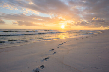 Wall Mural - Beautiful view of footprints on the sand beach during sunset