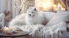 Cute Pomeranian Dog On Sofa In Room Decorated For Christmas