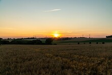 Beautiful Sunset In A Yellow Field In Hagen- Bolling, Germany