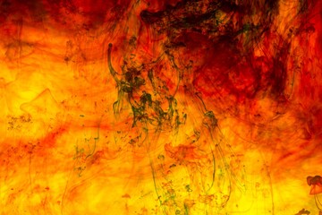 Wall Mural - colorful motion blur background