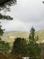 Poster - a rainbow is in the sky over some trees and land