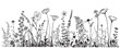 © BigJoy - Wild flowers field border sketch hand drawn in doodle style