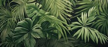 Tropical Vintage Botanical Illustration Palm Tree Plant Floral Border Background Exotic Green Jungle Illustration With Palm Tree And Floral Border