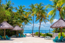 Palm Trees And Umbrellas In Beautiful Beach In Tropical Island Resort, Key Largo. Florida