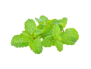 Poster - mint leaf transparent png