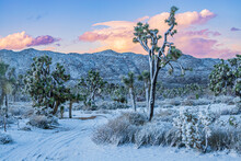 Winter Desert Landscape With Snow During Sunset