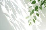 Fototapeta Sypialnia - Blurred shadow from leaves plants on the white wall. Minimal abstract background for product presentation. Spring and summer