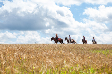 Horseback riding. Horseback riding. Young women equestrians in the distance ride horses through a field on a summer sunny day.