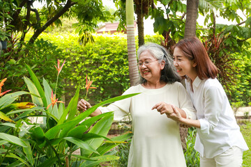 Wall Mural - Elderly mother and happy smiling daughter walking in the park. Elderly Health Center Health care in retirement. copy space