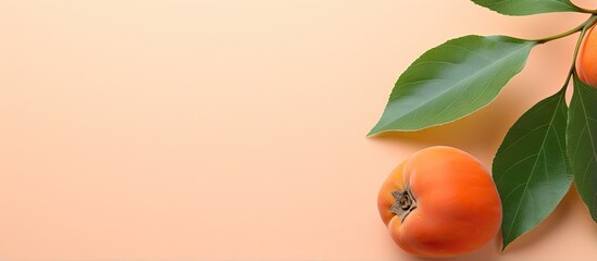 Wall Mural - Whole and sliced Persimmon isolated on a isolated pastel background Copy space with green leaf