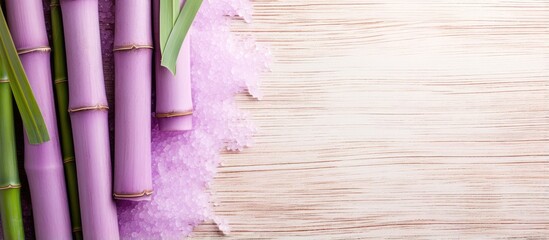 Aufkleber - Purple sugar cane segment background with copyspace isolated pastel background Copy space