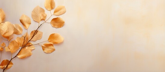Fototapete - golden leaf that has been dried isolated pastel background Copy space