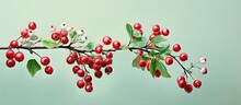 Crimson Cranberries Hanging From Verdant Branches Isolated Pastel Background Copy Space