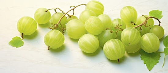 Wall Mural - Green gooseberries fresh and ripe whole and half on isolated pastel background Copy space