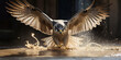 Dramatic capture of a peregrine falcon plunging in a stoop, high - speed capture, neutral blurred background