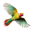 Edward's Fig Parrot in-flight in a Nature-themed, side view, photorealistic illustration in a transparent PNG, cutout, and isolated. Generative ai