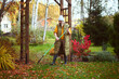 seasonal autumn garden work. Woman gardener raking fall leaves