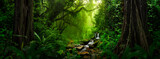 Fototapeta Fototapeta las, drzewa - Tropical forest landscape with river