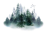 Watercolor foggy forest landscape illustration. Wild nature in wintertime.  Abstract graphic isolated on transparent background
