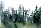 Fototapeta Natura - Watercolor foggy forest landscape illustration. Wild nature in wintertime.  Abstract graphic isolated on transparent background