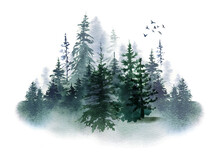 Watercolor Foggy Forest Landscape Illustration. Wild Nature In Wintertime.  Abstract Graphic Isolated On Transparent Background