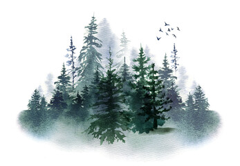 Watercolor foggy forest landscape illustration. Wild nature in wintertime.  Abstract graphic isolated on transparent background