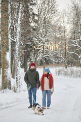 Vertical portrait of young couple walking dog in winter forest and looking at each other