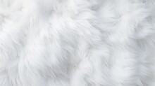 White Fur Background.