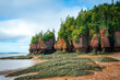 Flowerpots at low tide, Hopewell Rocks Provincial Park, Bay of Fundy, New Brunswick, Canada. Photo taken in September 2023.