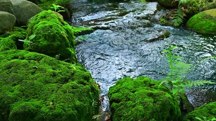 Poster - Water flows through the stream and there are mossy rocks beside the stream.