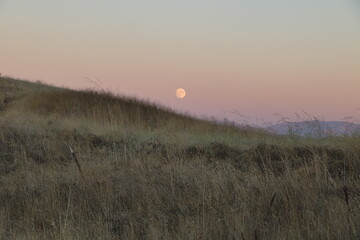 Wall Mural - The Sturgeon moon rose just after sunset in the hills of the East Bay