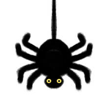 Hanging Black Spider With Yellow On Transparent Background