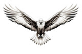 Black and white eagle isolated on white background.