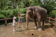 © Julija - Young women with daughter washing an elephant at sanctuary in Bali, Indonesia. High quality photo