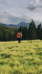 Wall Mural - girl with a big backpack at sunrises in the mountains, the Carpathians, the Labieska range, the Kukul ridge, the sun's rays, travel, landscapes, the beauty of nature, grass, a tourist on a hikе