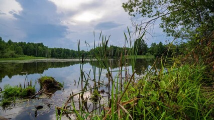 Wall Mural - Beautiful Landscape In Sunny Spring Day Timelapse moving over bog lake in nature in early summer morning. Cloudy Sky With Clouds. Natural Background. Time-lapse 4K.