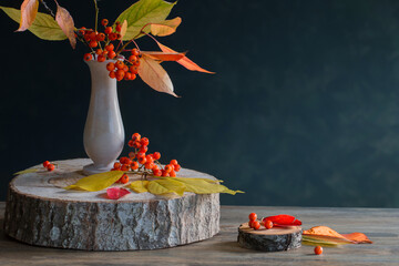 Wall Mural - still life with rowan berries on  dark background