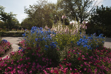 Dallas Arboretum And Botanical Gardens